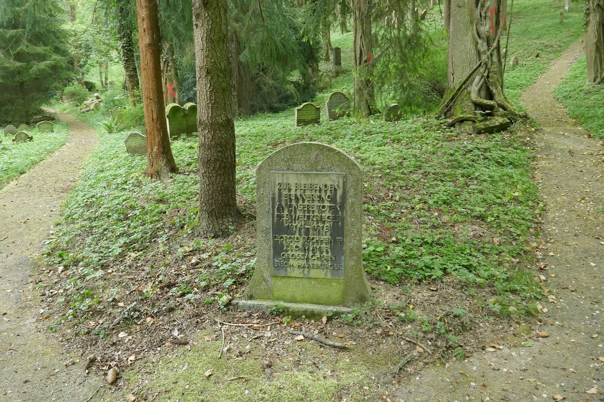 Der jüdische Friedhof in Hemsbach (RheinNeckarKreis)